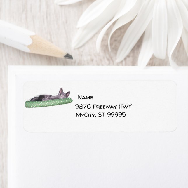 Label - Return - Russian Blue Kitten (Insitu)