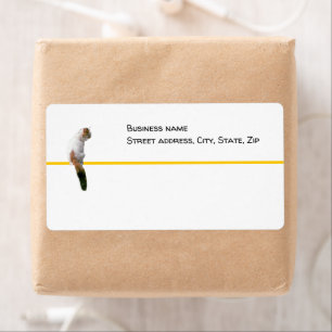 Label - shipping - Watch Cat