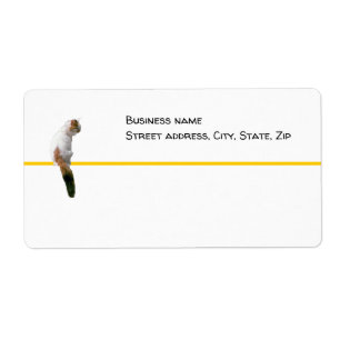 Label - shipping - Watch Cat