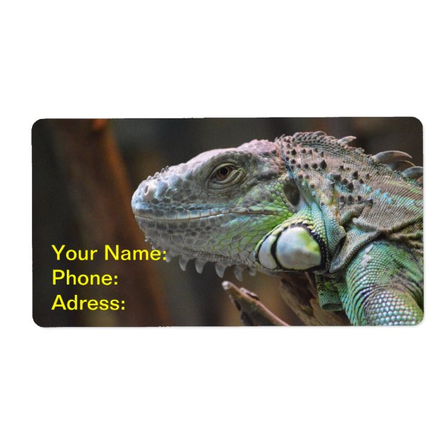 Label with head of colourful Iguana Lizard (Front)