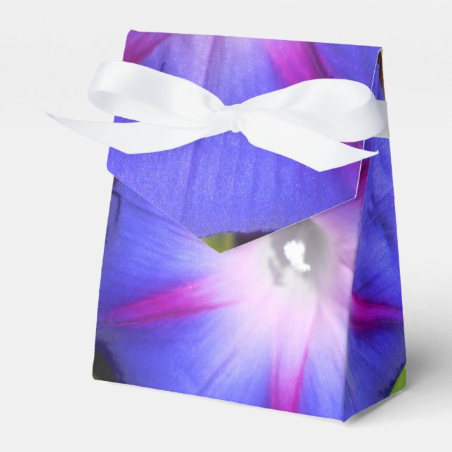 Labille-Guiard Favor Box (Front Side)