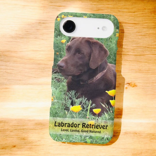 Laboratoire de chocolat en Californie Patch de pav (Back of iPhone cover with photo and template text)