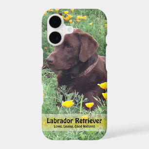 Laboratoire de chocolat en Californie Patch de pav