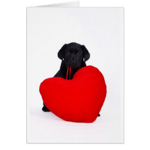 Laboratoire noir et coeur