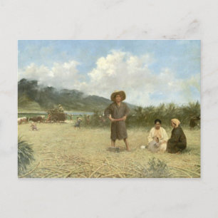 'Laboratoires Japonais, Maui' - Carte postale