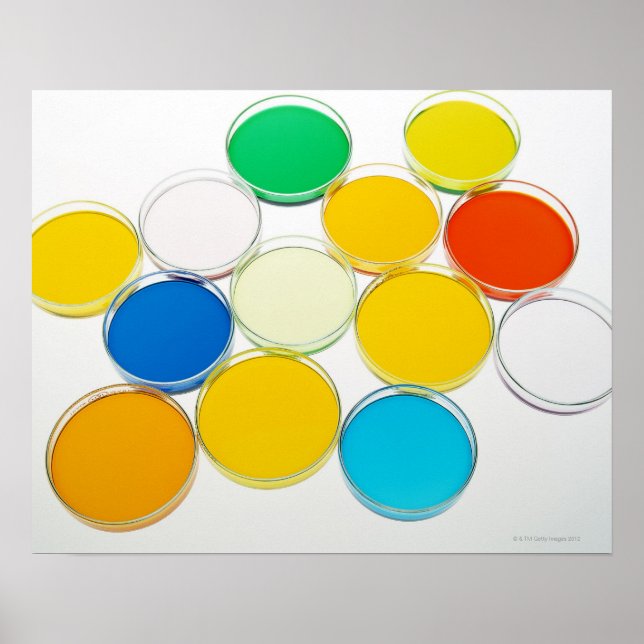 Laboratory Dish 2 Poster (Front)