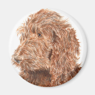 Labradoodé au chocolat Aimant no 2