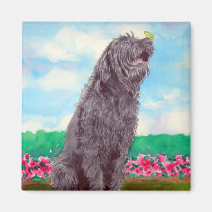 Labradoodé avec aimant papillon