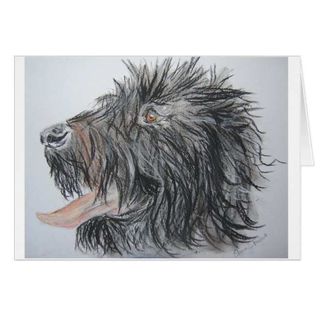 Labradoodle (Devant horizontal)