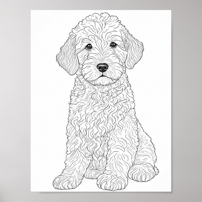 Labradoodle Adult Colouring Poster (Front)