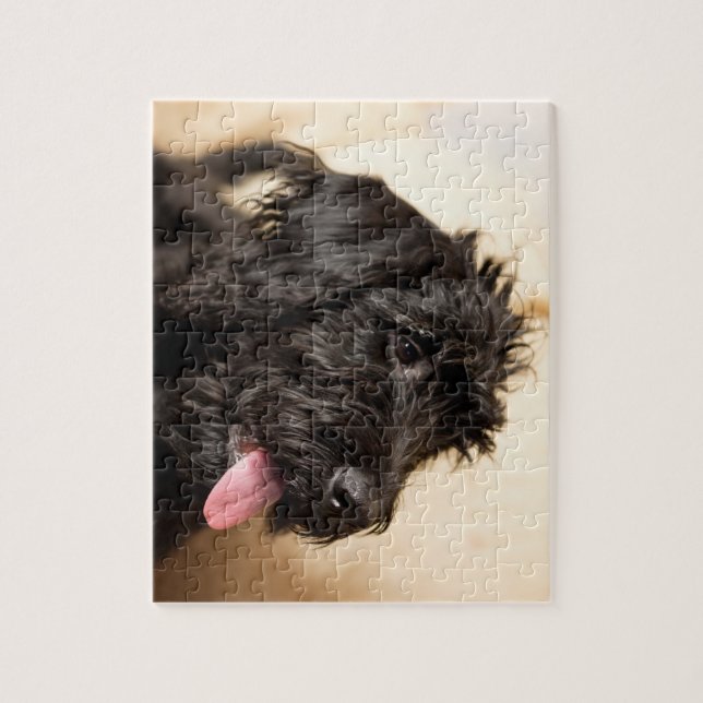 Labradoodle black jigsaw puzzle (Vertical)