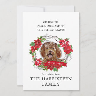 Labradoodle brown Watercolor Poinsettia Christmas Holiday Card