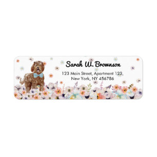 Labradoodle Chien avec mignonne cravate bleue