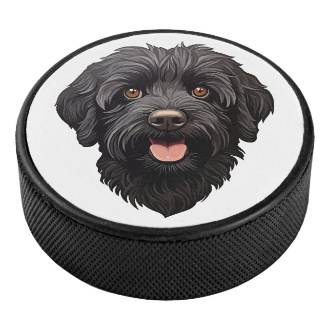 Labradoodle Chien noir (3/4/2016 12:00:00 AM)