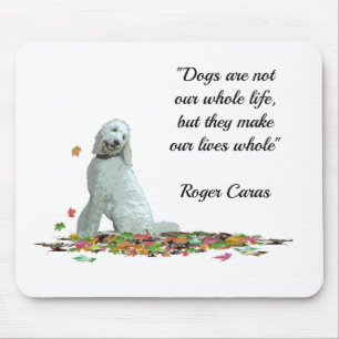 Labradoodle Dog In Leaves Mouse Pad