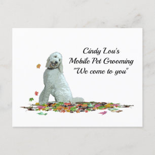 Labradoodle Dog In Leaves Postcard