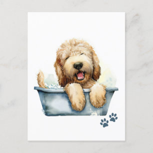 Labradoodle Dog Postcard