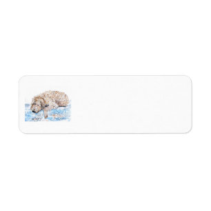 Labradoodle faisant une sieste