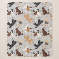Labradoodle / Goldendoodle Bones and Paws Sherpa B