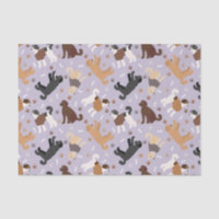 Labradoodle / Goldendoodle Bones and Paws