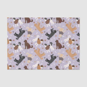 Labradoodle / Goldendoodle Bones and Paws Tissue Paper