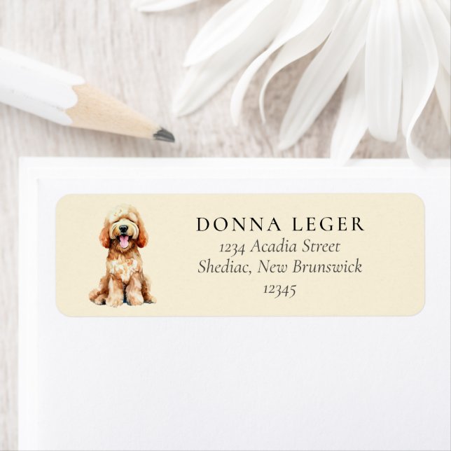 Labradoodle Goldendoodle Dog Address (Insitu)