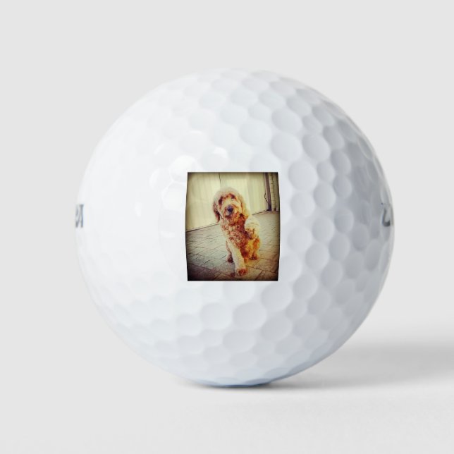 labradoodle golf balls (Front)