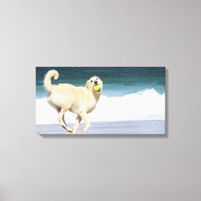 Labradoodle - Happy Day on the Beach Canvas Print (Front)