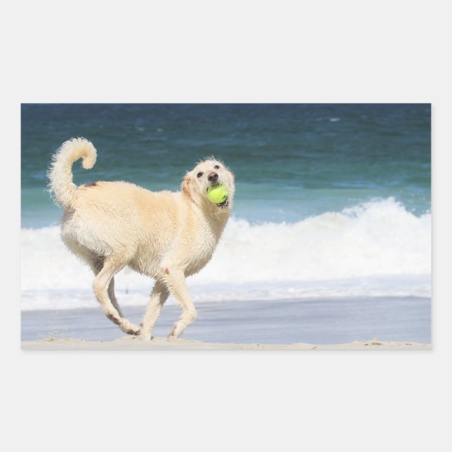 Labradoodle - Happy Day on the Beach Sticker (Front)