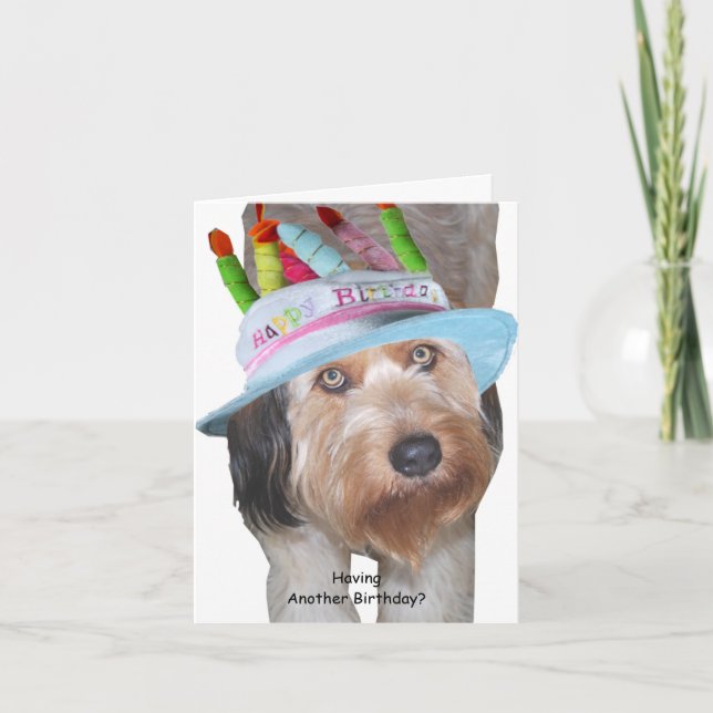 Labradoodle in Birthday Hat Card (Front)