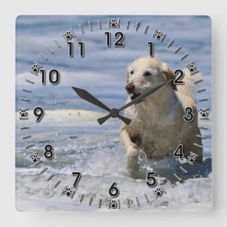 Labradoodle - Izzy Square Wall Clock