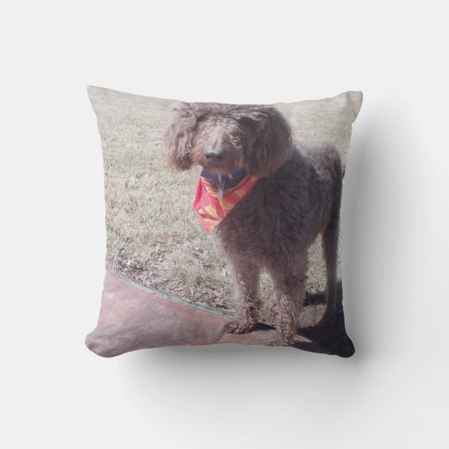 labradoodle pillow (Front)