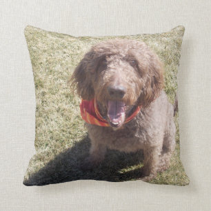 labradoodle pillow