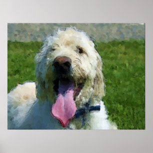 Labradoodle print