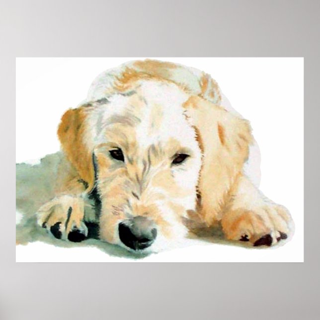 Labradoodle Pup Print (Front)