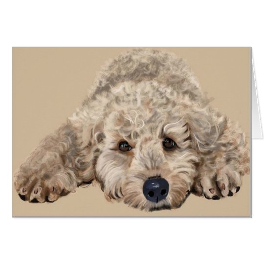 Labradoodle Puppy Card