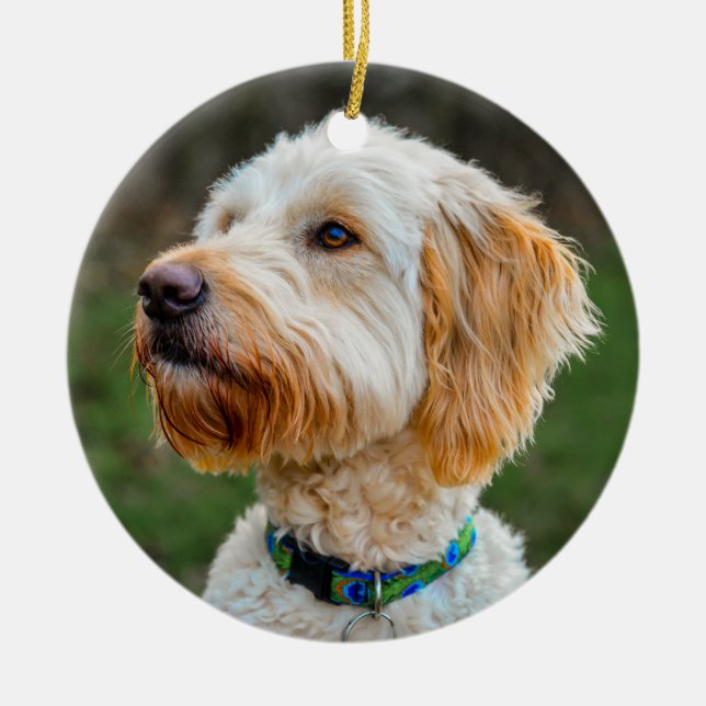 Labradoodle Puppy Dog Ceramic Ornament (Front)