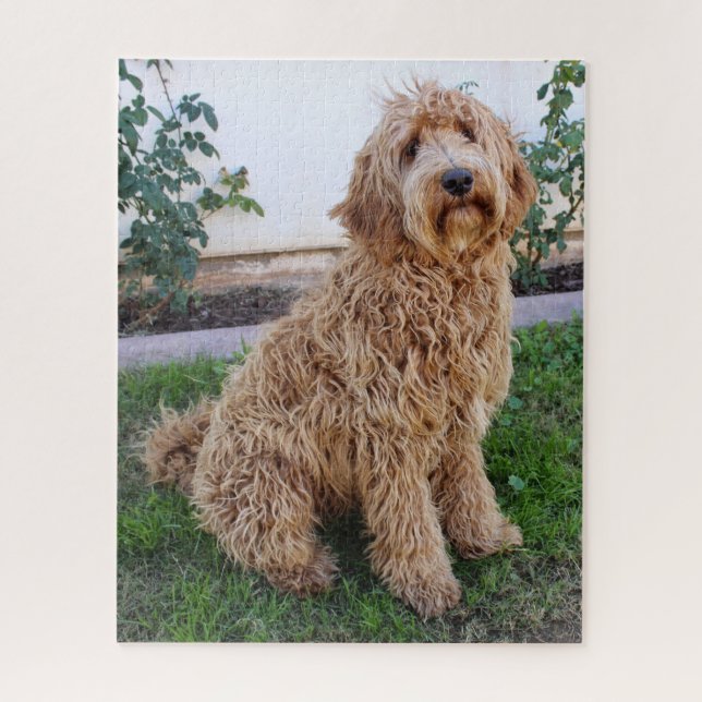 Labradoodle Puppy Dog Jigsaw Puzzle (Vertical)