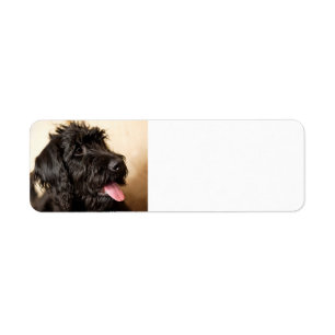 Labradoodle Return Address Label