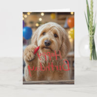 Labradoodle Writing Happy Birthday on Glass