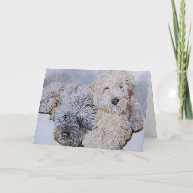 Labradoodles deux cartes de voeux (Devant)