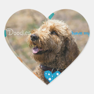 Labradoodles ont mon autocollant de ❤