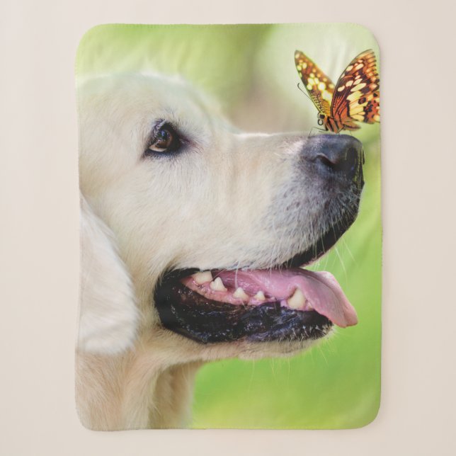 Labrador And Butterfly Throw Pillow (Front)