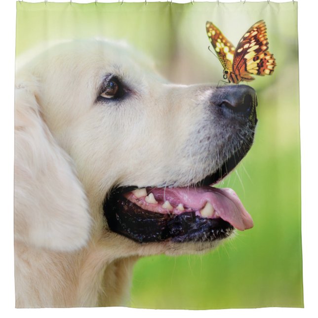 Labrador And Butterfly Throw Pillow (Front)