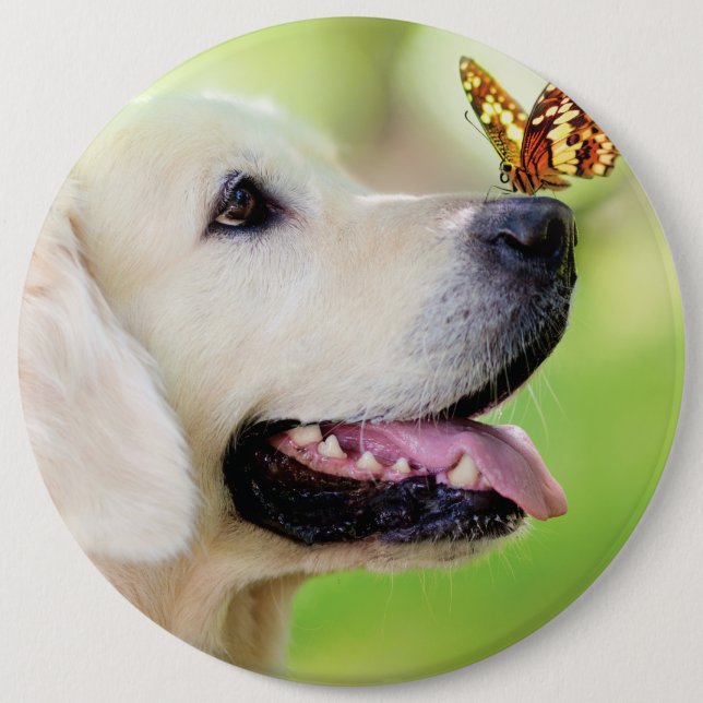 Labrador And Butterfly Throw Pillow 6 Inch Round Button (Front)
