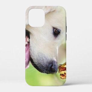 Labrador And Butterfly Throw Pillow iPhone 12 Mini Case