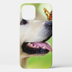 Labrador And Butterfly Throw Pillow iPhone 12 Pro Case