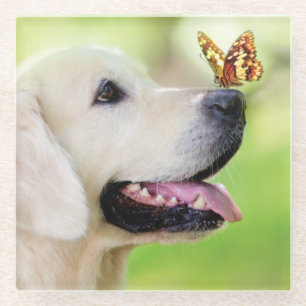 Labrador And Butterfly Throw Pillow Glass Coaster
