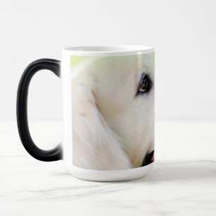 Labrador And Butterfly Throw Pillow Magic Mug