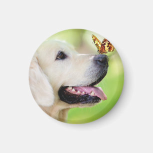 Labrador And Butterfly Throw Pillow Magnet